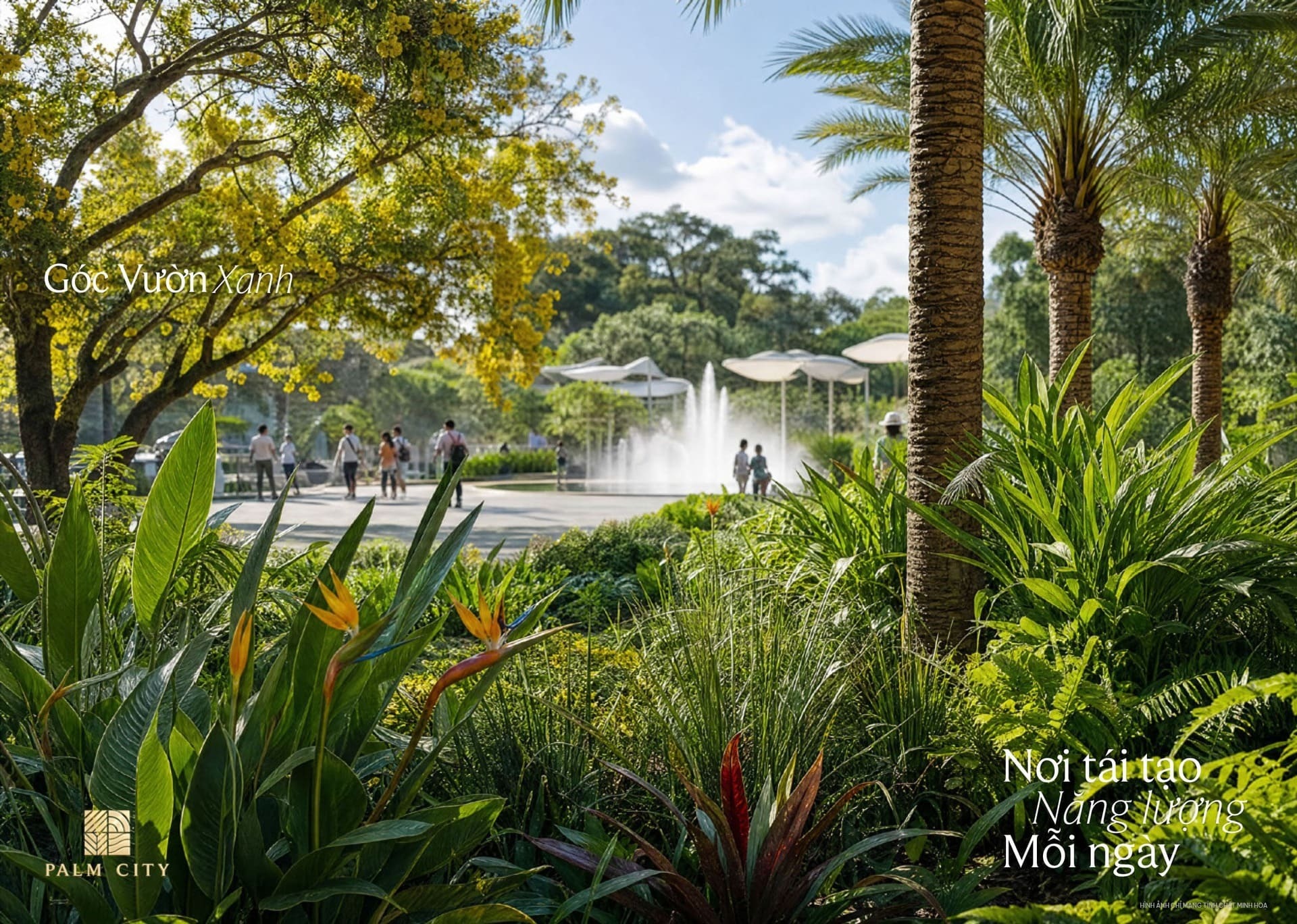 Palm City view 7